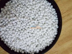 汕尾白色母廠家 想買質(zhì)量有保障的白色母粒就到暢彩塑膠科技