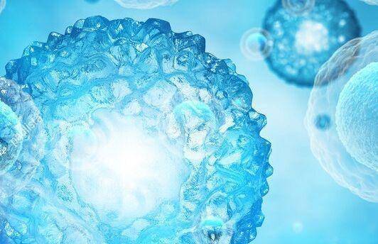 宛如海膽毛刺 科學(xué)家開發(fā)新型納米診療一體化拉曼探針,精準(zhǔn)切除腹腔腫瘤